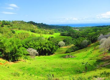 mauritius/savanne/landmark/bel-ombre-nature-reserve