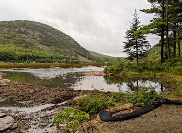 maine/acadia-national-park/landmark/wild-gardens-of-acadia