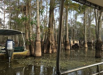 louisiana/slidell/landmark/honey-island-swamp-tours