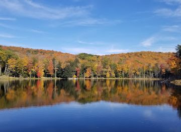 massachusetts/berkshires/landmark/october-mountain-state-forest