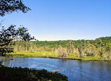 michigan/pictured-rocks-national-lakeshore/landmark/sand-point-marsh