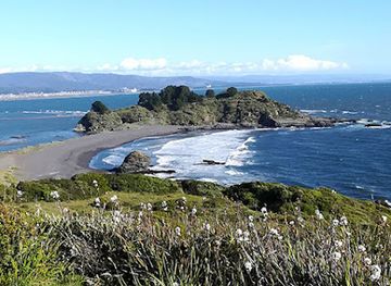 chile/concepcion/landmark/museo-pedro-del-rio-zanartu-park
