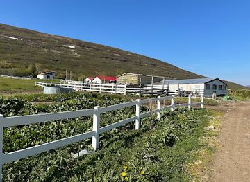 iceland/westfjords/landmark/heydalur