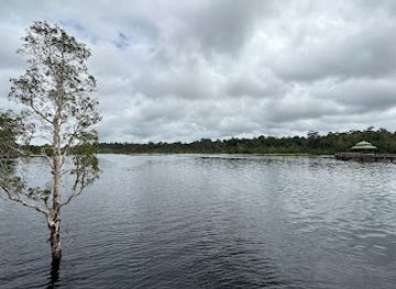 brunei/tutong-river/landmark/labi-forest-reserve