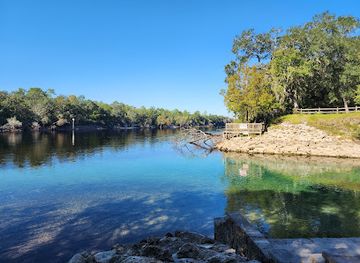 florida/suwannee-river/landmark/little-river-springs