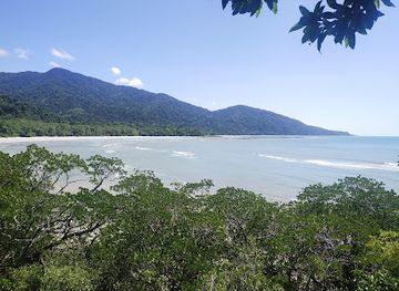 australia/cape-tribulation/landmark/cape-tribulation-daintree-night-walks-spotlighting-day-walk-tours