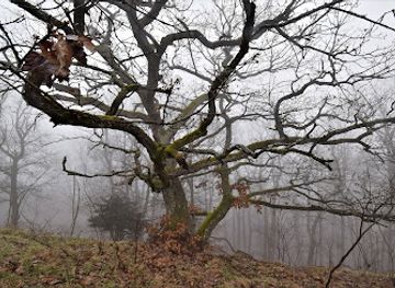 austria/wachau/landmark/menthalgraben