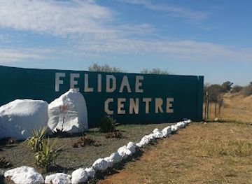 south-africa/northern-cape/landmark/felidae-centre-a-safe-place-for-cats