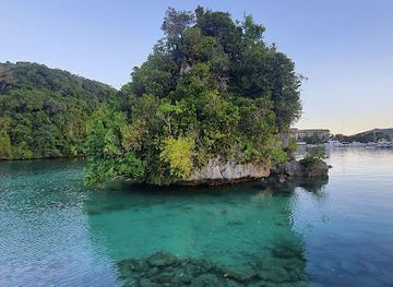 palau/ngeremdiu/landmark/koror-island