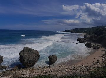 barbados/bathsheba/landmark/joe-s-river