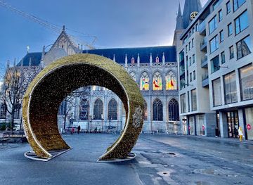 belgium/liege/guillemins/landmark/st-paul-s-cathedral-in-liege