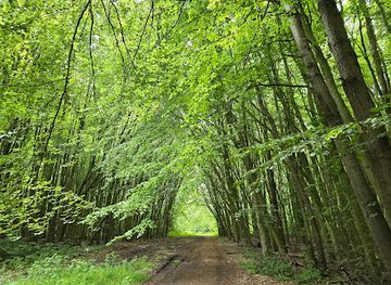 netherlands/flevoland/landmark/knarbos-oost