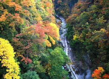 japan/tohoku/landmark/oyasukyo