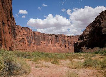 utah/canyonlands/landmark/petroglyphs