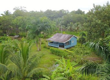 suriname/commewijne-district/landmark/warappa-kreek