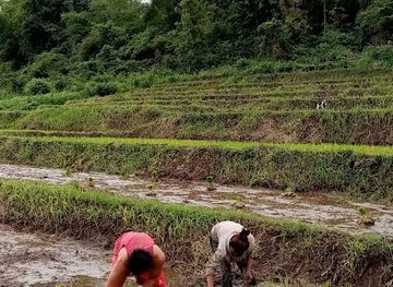laos/mekong-river-valley/landmark/khong