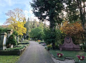 germany/heidelberg/landmark/bergfriedhof