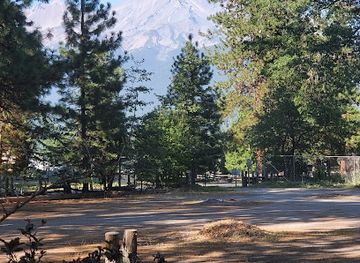 california/shasta-cascade/landmark/mt-shasta-sisson-museum