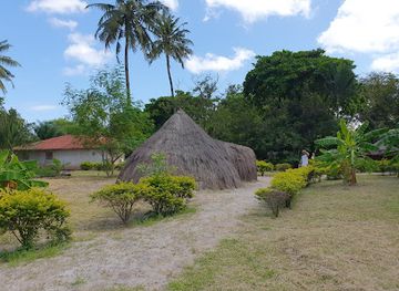 tanzania/dar-es-salaam/mikocheni/landmark/makumbusho-village-museum-mikocheni