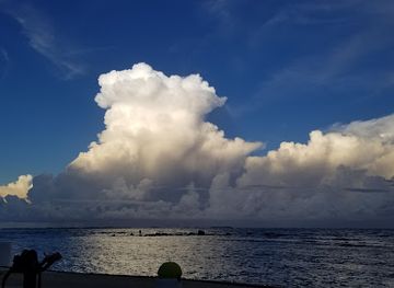 puerto-rico/fajardo/landmark/bio-island-biobay-in-boat