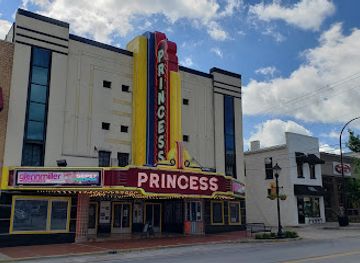 alabama/decatur/landmark/princess-theatre