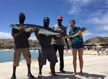 saint-kitts-and-nevis/nevis-peak/landmark/st-kitts-nevis-charters