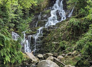 ireland/killarney-national-park/landmark/torc-waterfall
