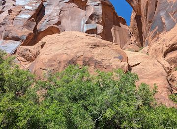 utah/cache-valley/landmark/roadside-petroglyphs