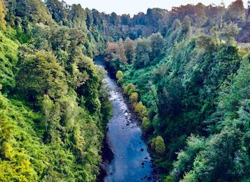 chile/los-rios-region/landmark/puente-chirre