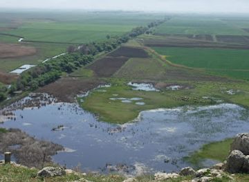 lebanon/metn/landmark/vamos-todos