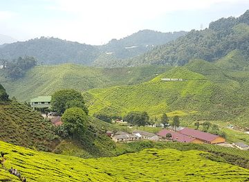 malaysia/cameron-highlands/landmark/cameron-highlands-discover-the-history