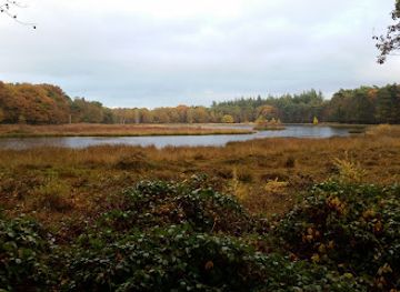 netherlands/gooi/landmark/de-stulp-staatsbosbeheer
