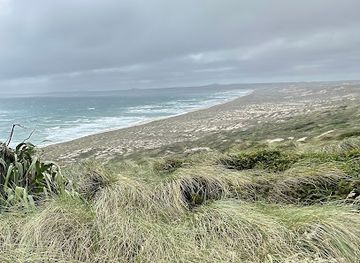 new-zealand/chatham-islands/landmark/henga-scenic-reserve-walk-trail-head