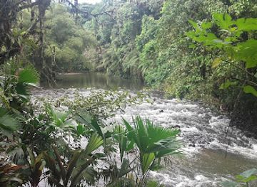 ecuador/oriente/landmark/parque-etnobotanico-omaere
