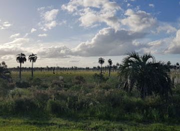 uruguay/rocha-coast/landmark/palmares-de-rocha