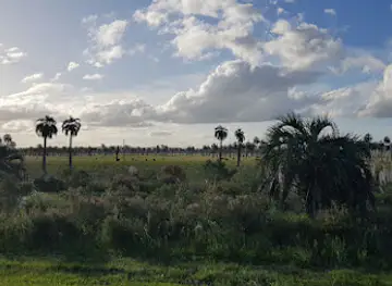 Palmares de Rocha