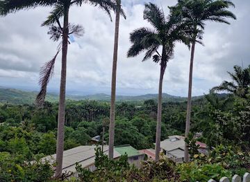 barbados/hastings/landmark/welchman-hall-gully