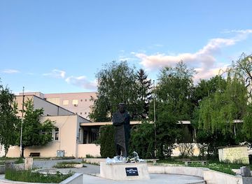 kosovo/gjilan/landmark/busti-i-fehmi-aganit