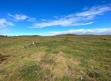 chile/norte-grande/landmark/los-pinguinos-natural-monument