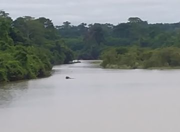 cote-d-ivoire/comoe/landmark/comoe