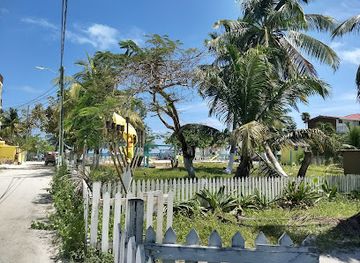 belize/caye-caulker/landmark/maggie-s-sunset-kitchen