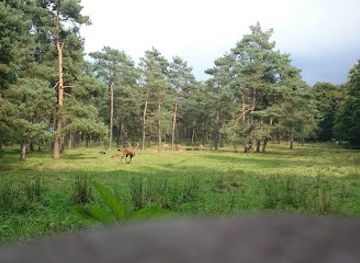 netherlands/veluwe-national-park/landmark/wildhut