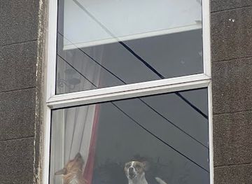 ireland/wexford/landmark/the-dog-s-window