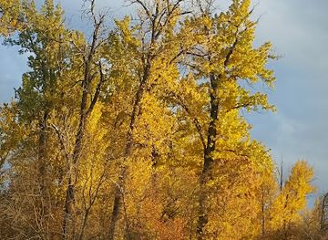 montana/kalispell/landmark/leisure-island-park