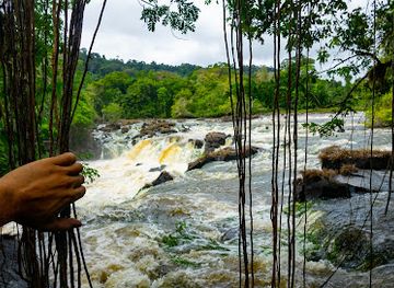 suriname/tafelberg-nature-reserve/landmark/unlock-nature
