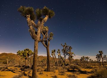 california/joshua-tree/landmark/keys-view