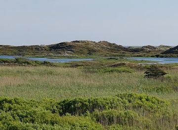 denmark/wadden-sea-national-park/landmark/skovlegeplads