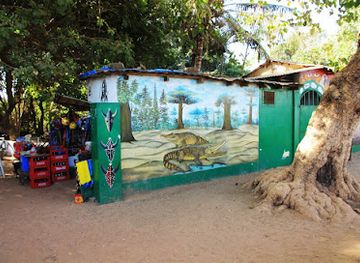 the-gambia/banjul/landmark/kachikally-crocodile-pool