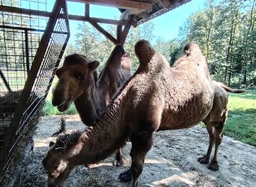 hungary/miskolc/landmark/vadaspark