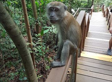 singapore/east-coast-park/landmark/rotunda
